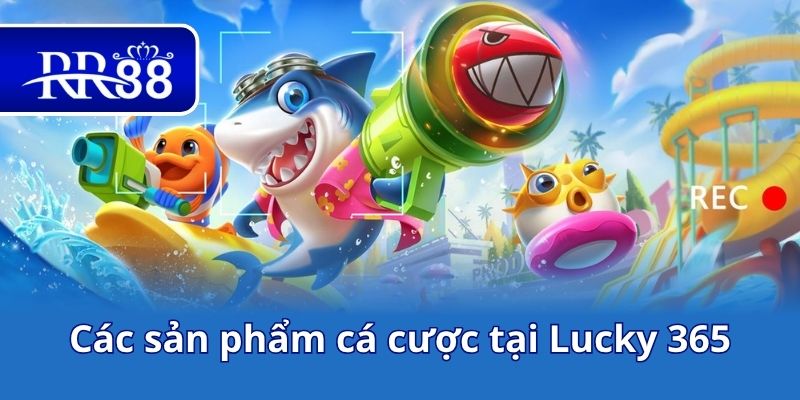 Các sản phẩm cá cược tại Lucky 365
